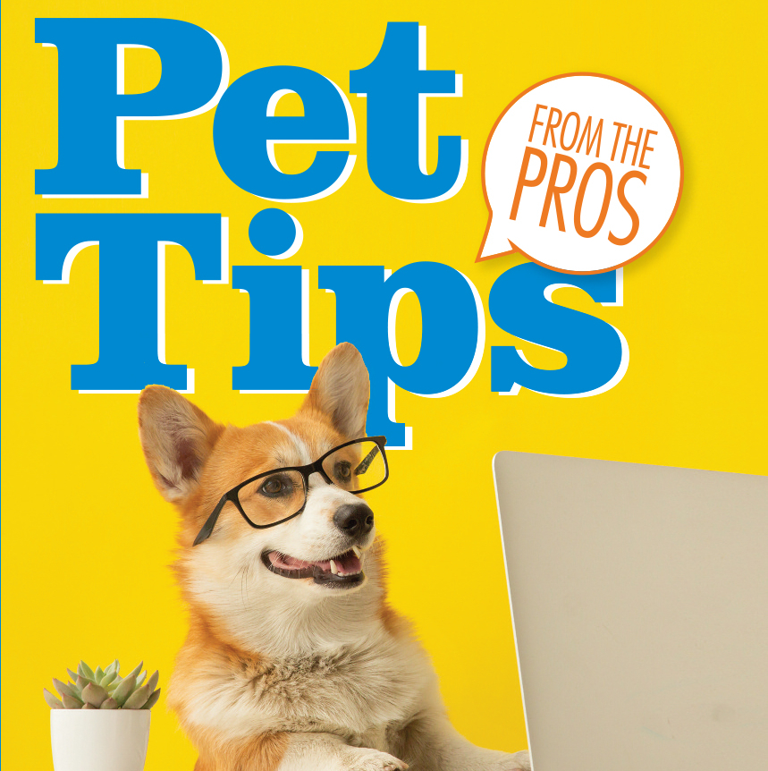 Pet Tips from the Pros