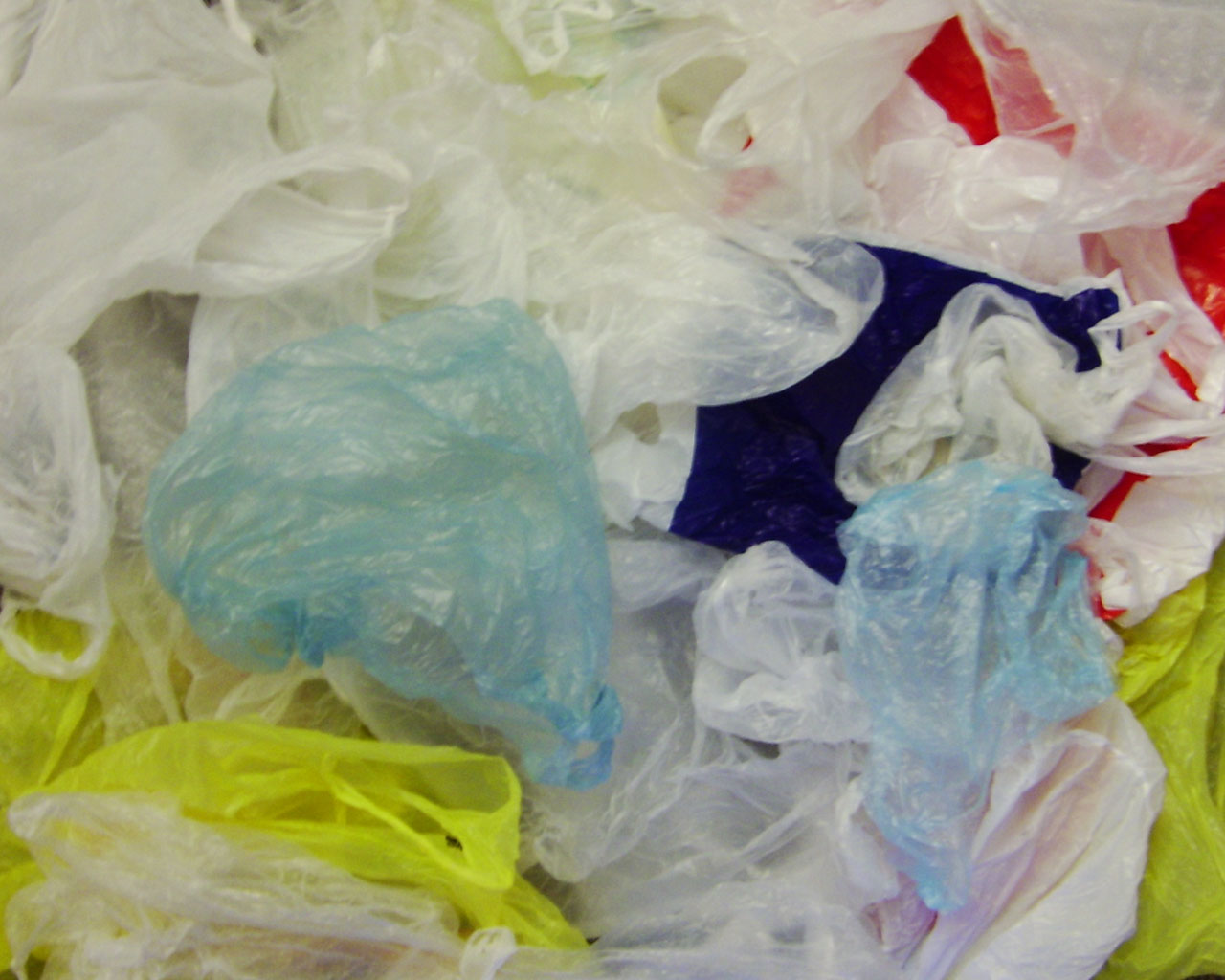 New Jersey Bill Proposes Strictest Plastic Ban In the Nation
