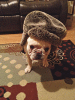 Top Pets 2014
