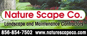 Nature Scape 300x125