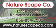 Nature Scape II