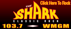 Shark 300x125