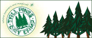 Tall Pines 300 x 125