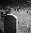Bits Of South Jersey - Genealogy-Cemetary Clues