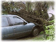 Little Twister Hits Somers Point