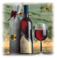 Cool wines from Chile