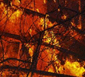 Fire Destroys Camp Building