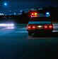 Murderer Loose in Vineland