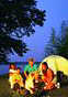 Shore: RVs, Karate and Crooners