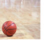 SJ Sports: First Year Success