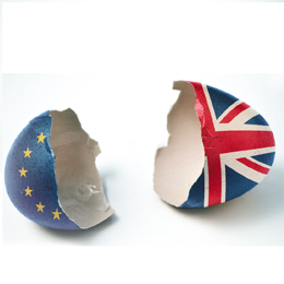 Brexit and Your Business