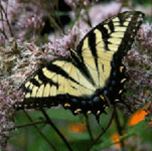 Rancocas Nature Center