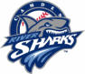 Riversharks AIDS Awareness Night