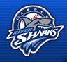 Nashua Takes Series In Camden