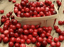 New Jersey's Cranberry Crop