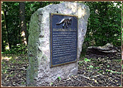 South Jersey And Dinosaurs?