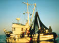 Entire Crew Rescued From Sinking Ship
