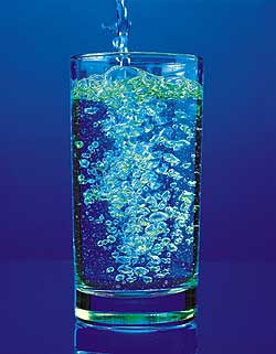 Water Contaminated with E.Coli