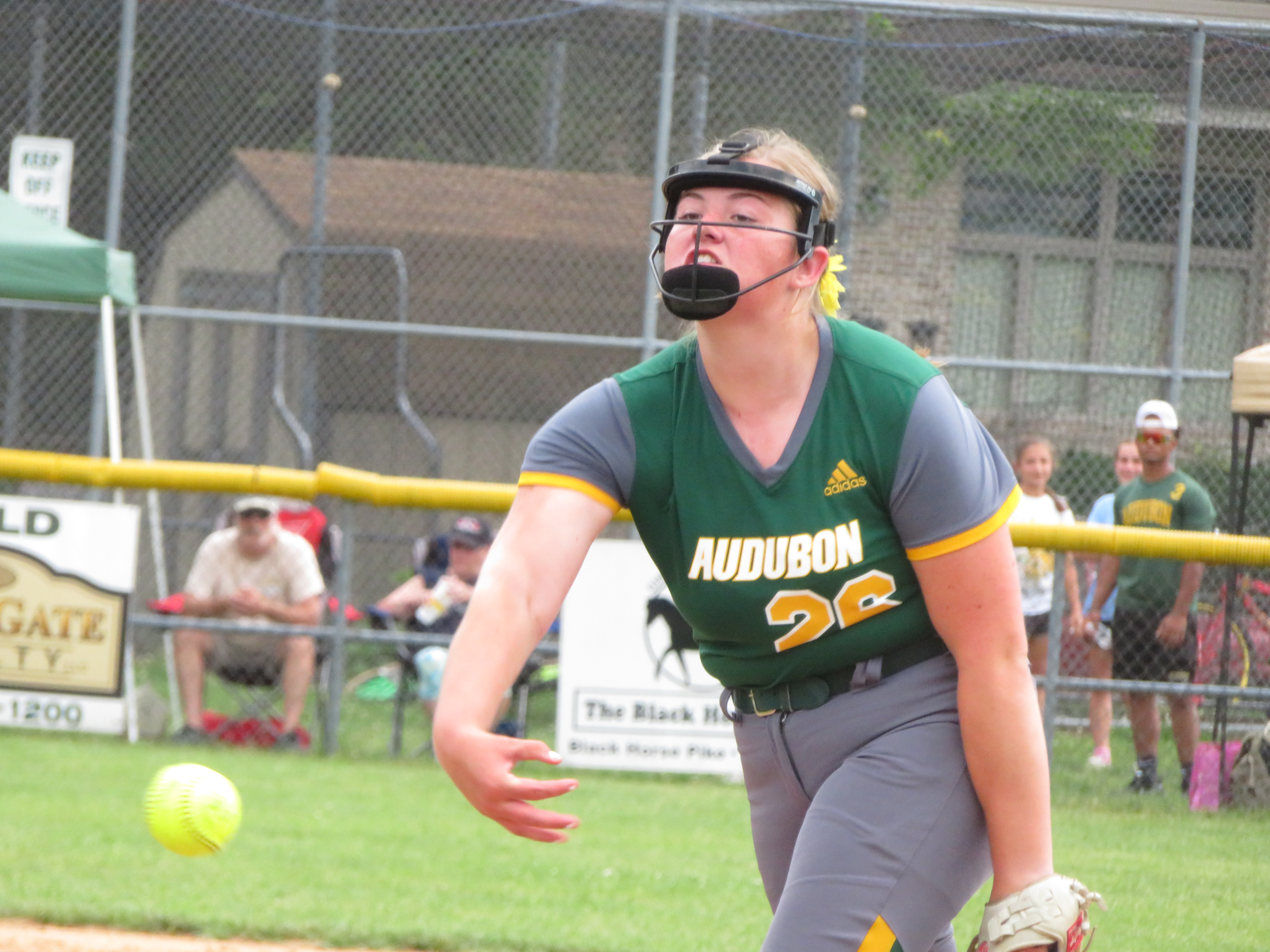 High seeds were winners in SJ Public school softball titles