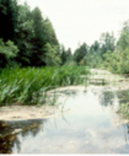 The New Jersey Coastal Heritage Trail