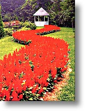 Franklin`s Secret Garden