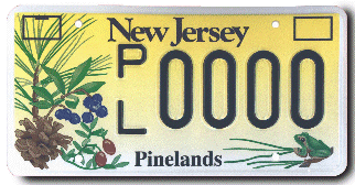 NJ DMV `In Crisis`
