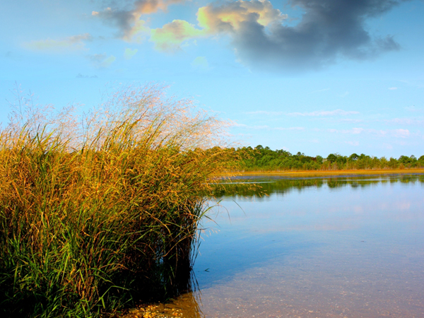 The Battle Over the Pinelands