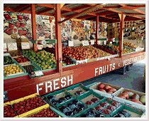 SJ Farmers Don`t Reap What They Sow