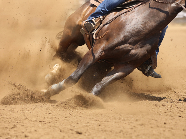 Cowtown Rodeo Will Be Entertaining...