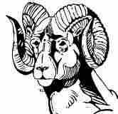 SJ Schools: Salem High School