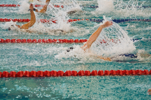 Wedgewood Defends Tri-County Swim Title