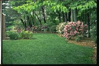 Cherry Hill Man Earns Appointment