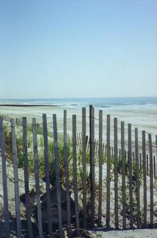 Bits of SJ: Landis` Sea Isle