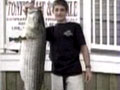 A Big Fish Tale