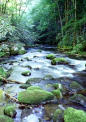 Sewage Flows In To River