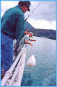 Father Dies While Fishing