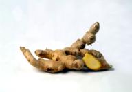 GINGER