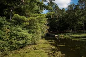 Harmful Algae Bloom Prompts Health Department Warning In Salem County