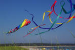 Kite Flying Day Coming
