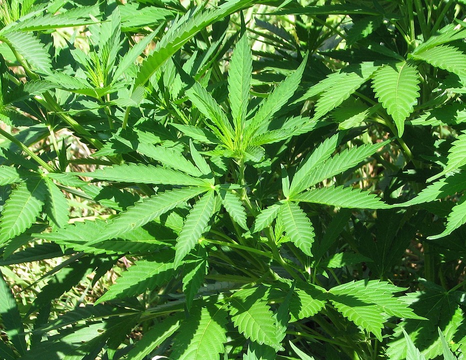 New Jersey Legislators To Host Key Vote On Legalizing Recreational Marijuana
