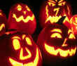 Dare to be Scared!