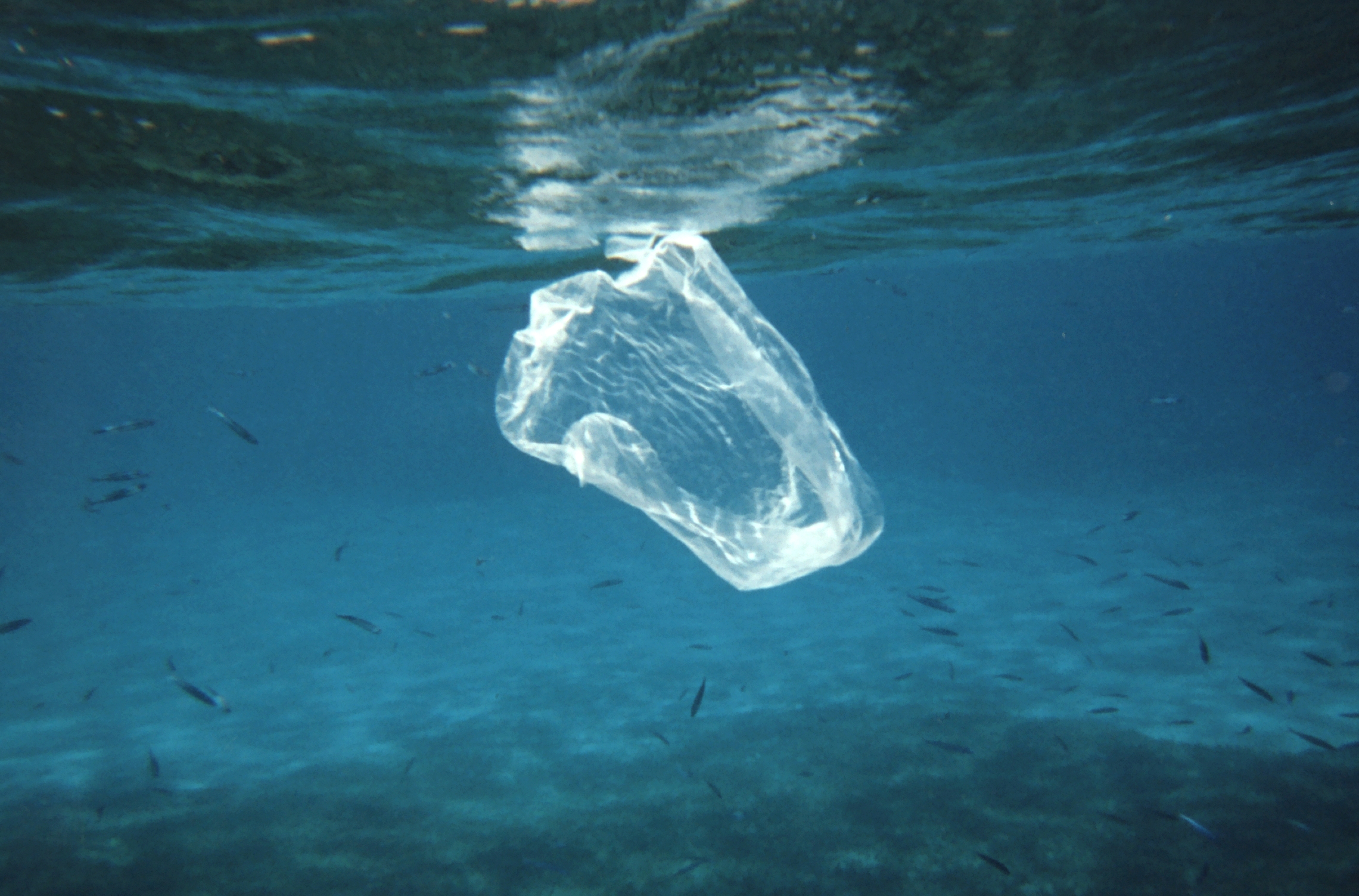 Plastic Bags, Straws Banned In Atlantic County Parks