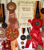 SJ Kids: Springfield School Winners!
