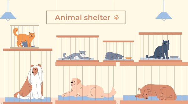 Adoptable Pets
