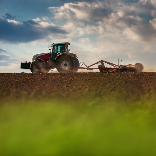 Down on the Farm