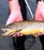 Haddon Lake Park Ready for Anglers
