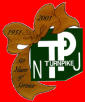 NJ Turnpike Toll Hike