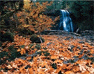 Spirits And Treasures Of Schooley`s Mountain