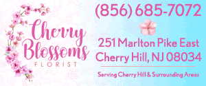 CherryBlossomFlorist_300x125_2.8.24